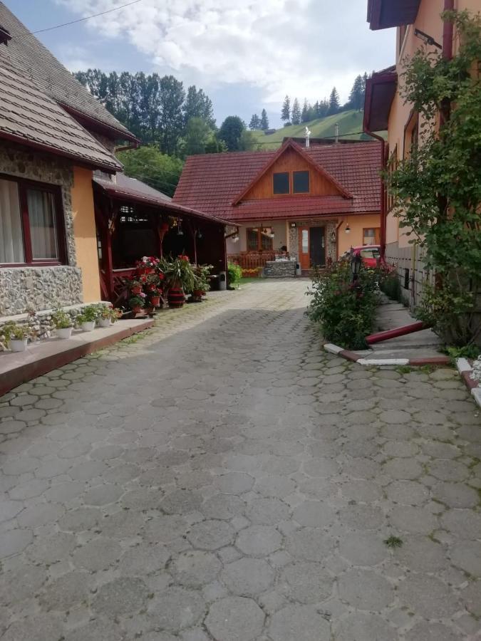 Vila Ovi Hotel Bran  Exterior foto